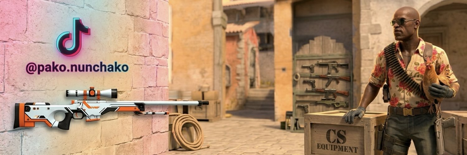 PAKO CS2 banner