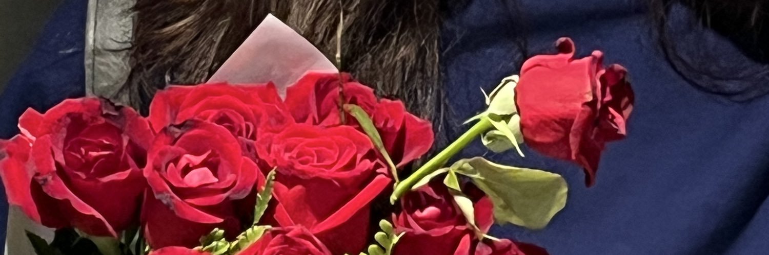 sabellavk's profile banner image