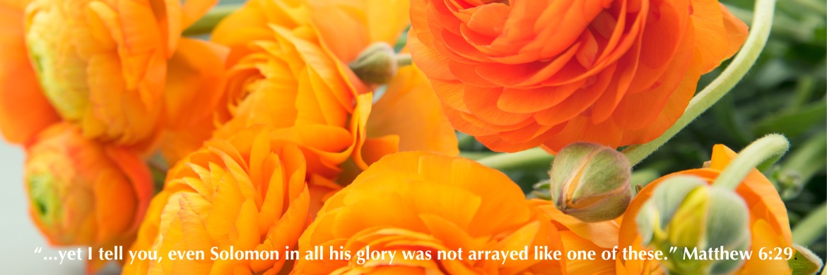 Jessica Egge banner