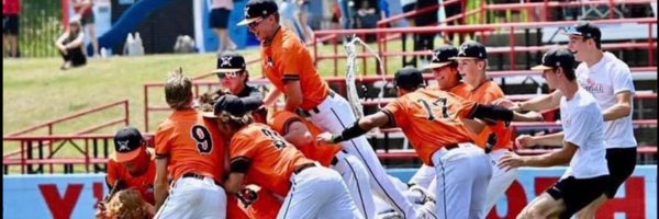 Ryle_Baseball Profile Banner