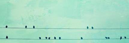 AiCoficial's profile banner image