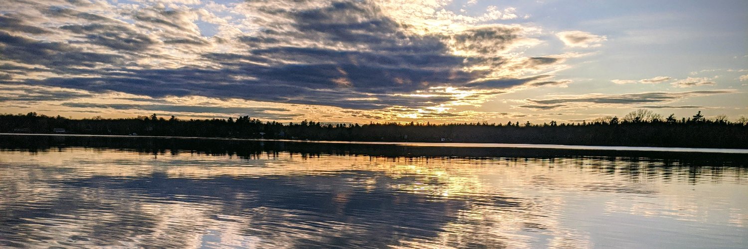 Denis Skinner banner
