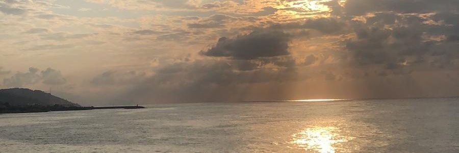 gamzeedgrlll's profile banner image