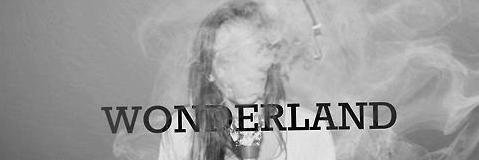 dieleweislank's profile banner image