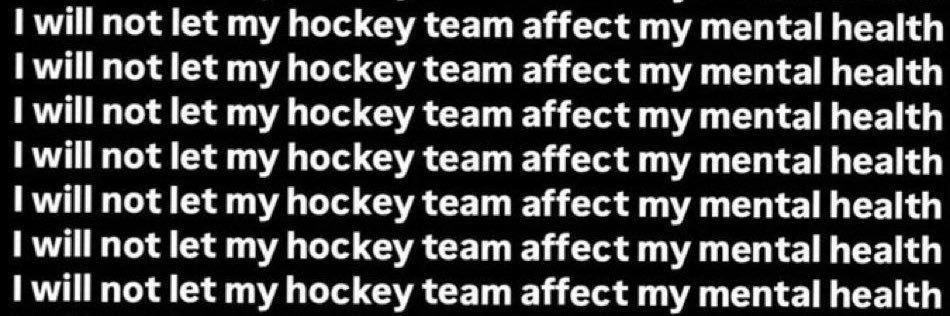 MNStateOfHockey banner
