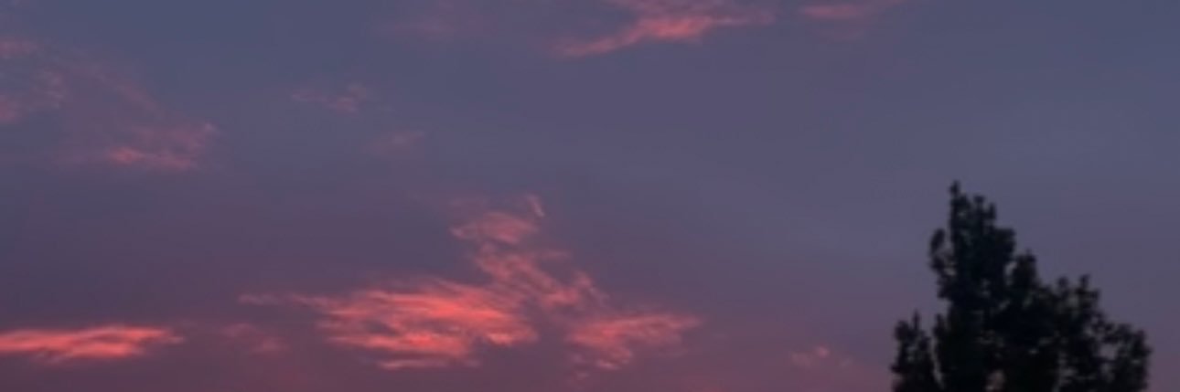 Synsaya25's profile banner image