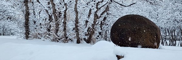 iotama22 Profile Banner