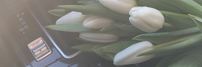 ؏ banner