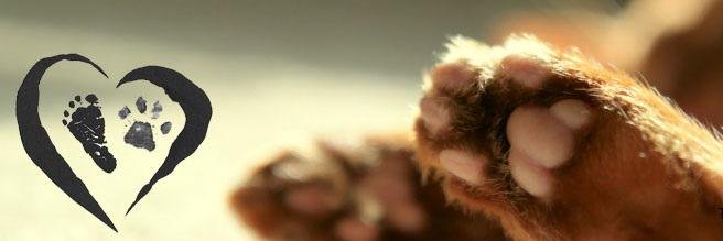BeastFootprints's profile banner image