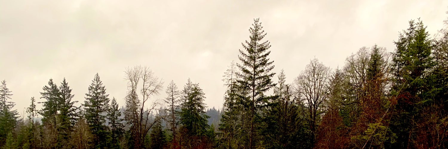 heartwood banner