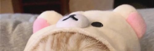 Miamuo17's profile banner image
