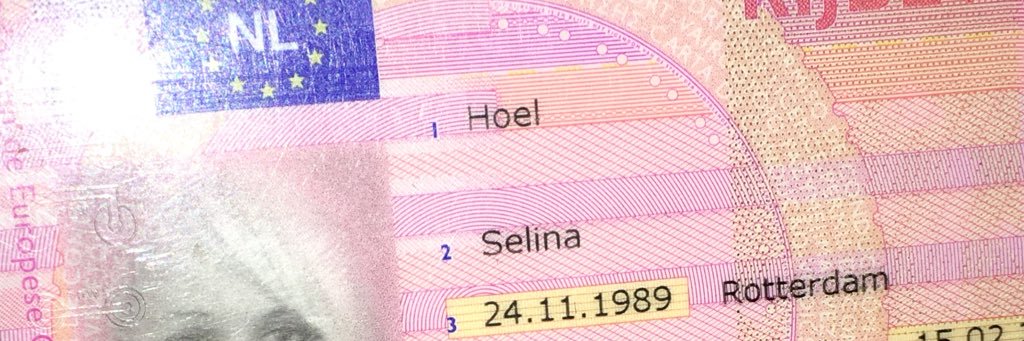 SelinaHoel's profile banner image