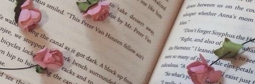 grace_ko_ng's profile banner image