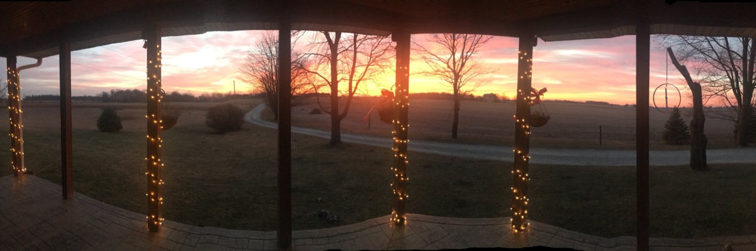 Carrie Thomas banner