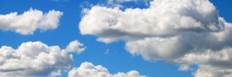 Stephanie Diaz-Matos banner