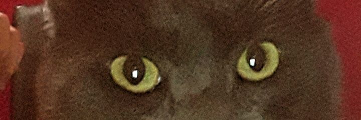 valealus8's profile banner image