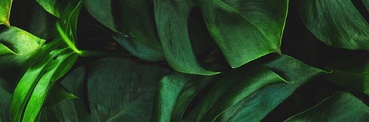 ptashka_ua's profile banner image