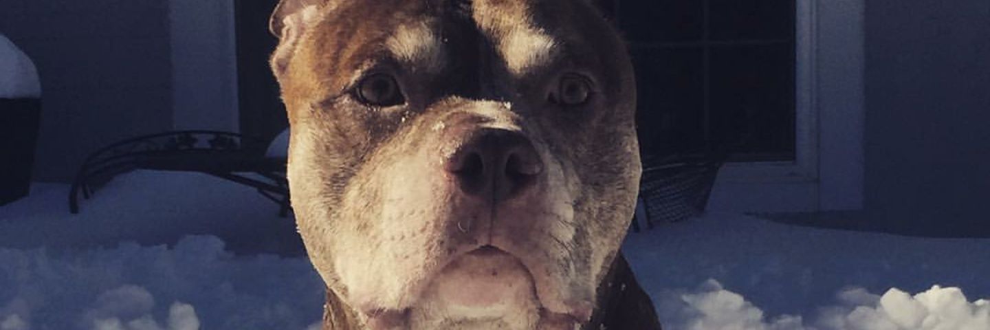 m0s_def's profile banner image
