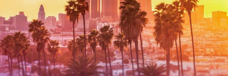 NaomyQuotes's profile banner image