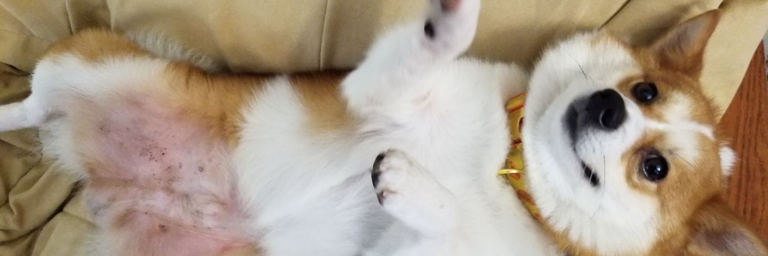 NatsuTheDoge's profile banner image