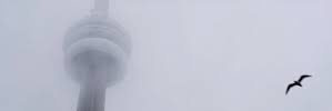Basanta ➐ banner