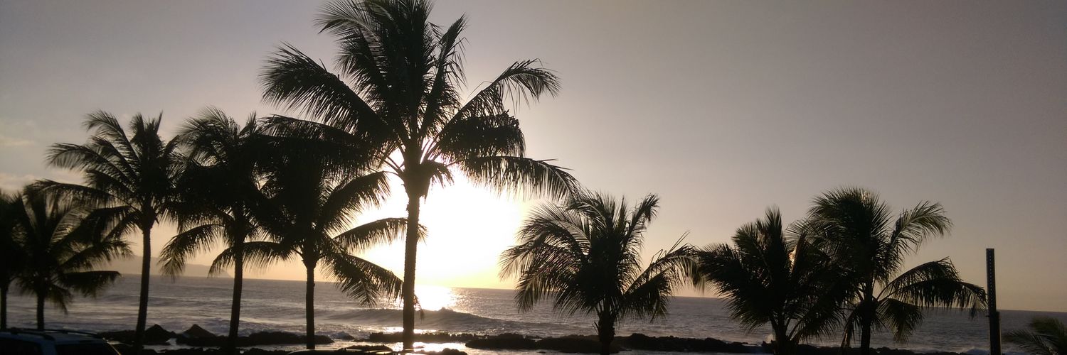ponbriques's profile banner image