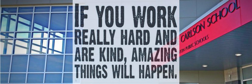 Nellie Carlson School (EPSB) banner