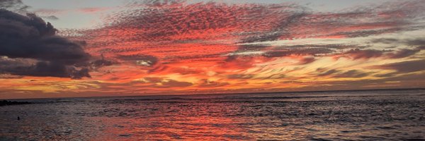 Ohnolog Profile Banner