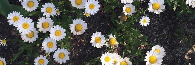 nurput44's profile banner image
