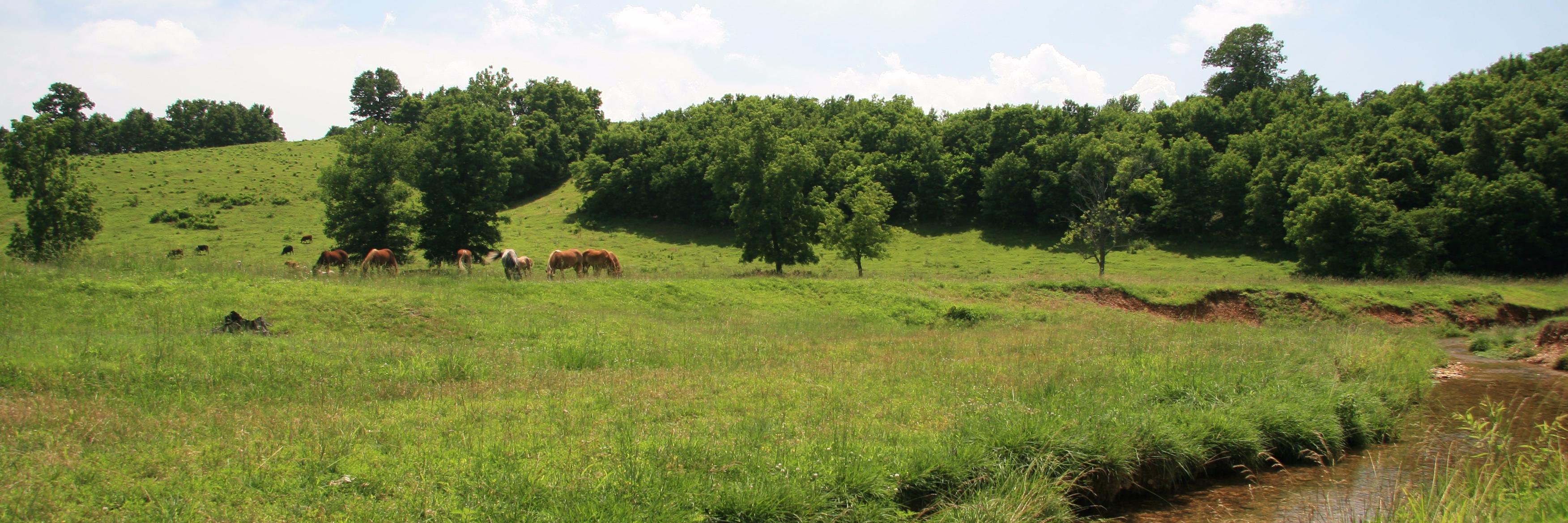 Belleplain's profile banner image