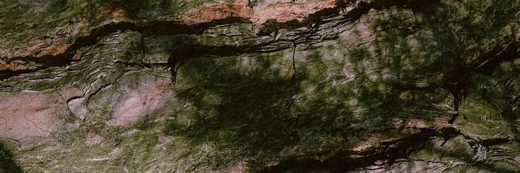 Kuarinae's profile banner image