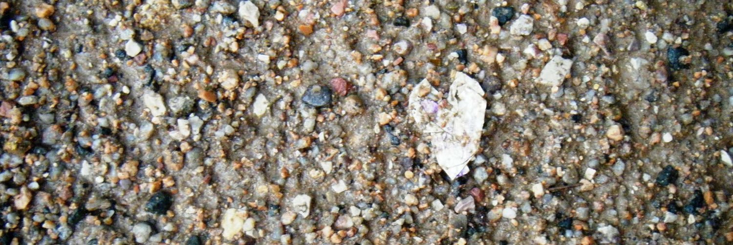 emilyrwininger's profile banner image