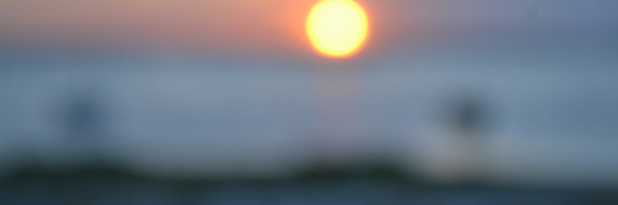 ninjutt's profile banner image