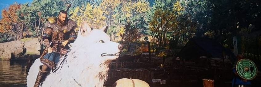 aaron_aspi's profile banner image