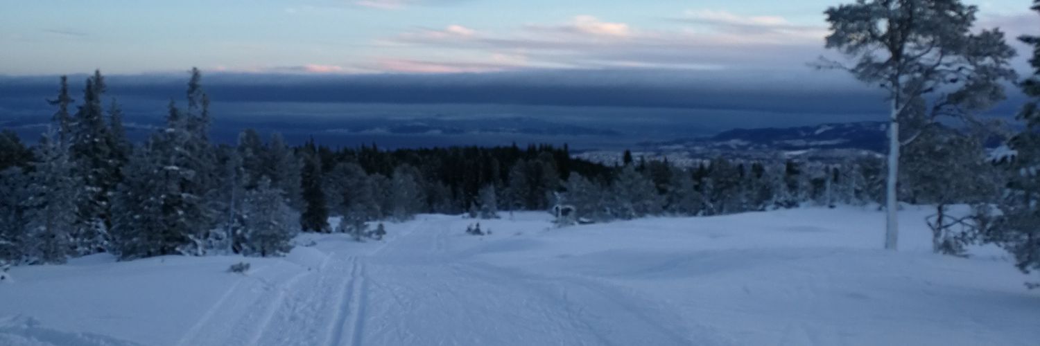 snrolland's profile banner image
