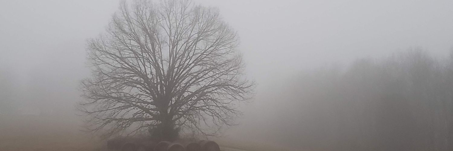 bcarder2's profile banner image