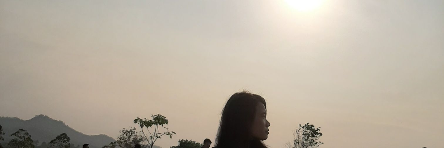 desikristiani's profile banner image