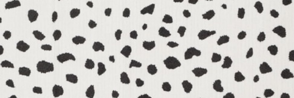 TompkinsAnnie's profile banner image