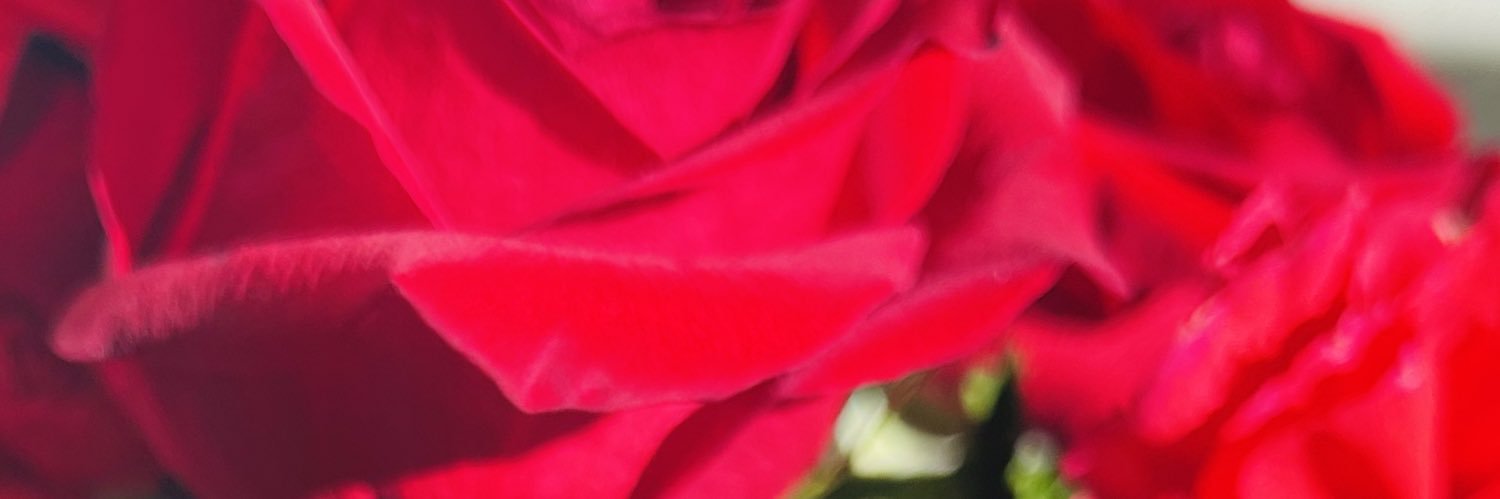 TheRachelLoren's profile banner image