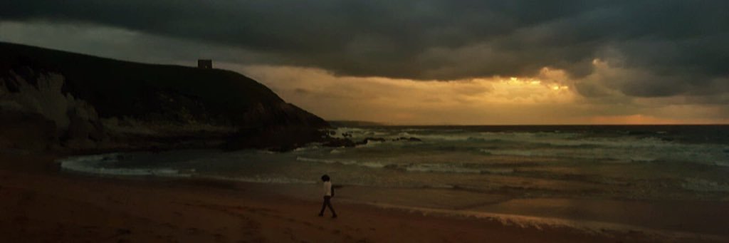 Formiga ❤️‍🩹 #InsumisiónYa banner