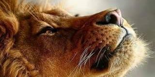 monc354's profile banner image