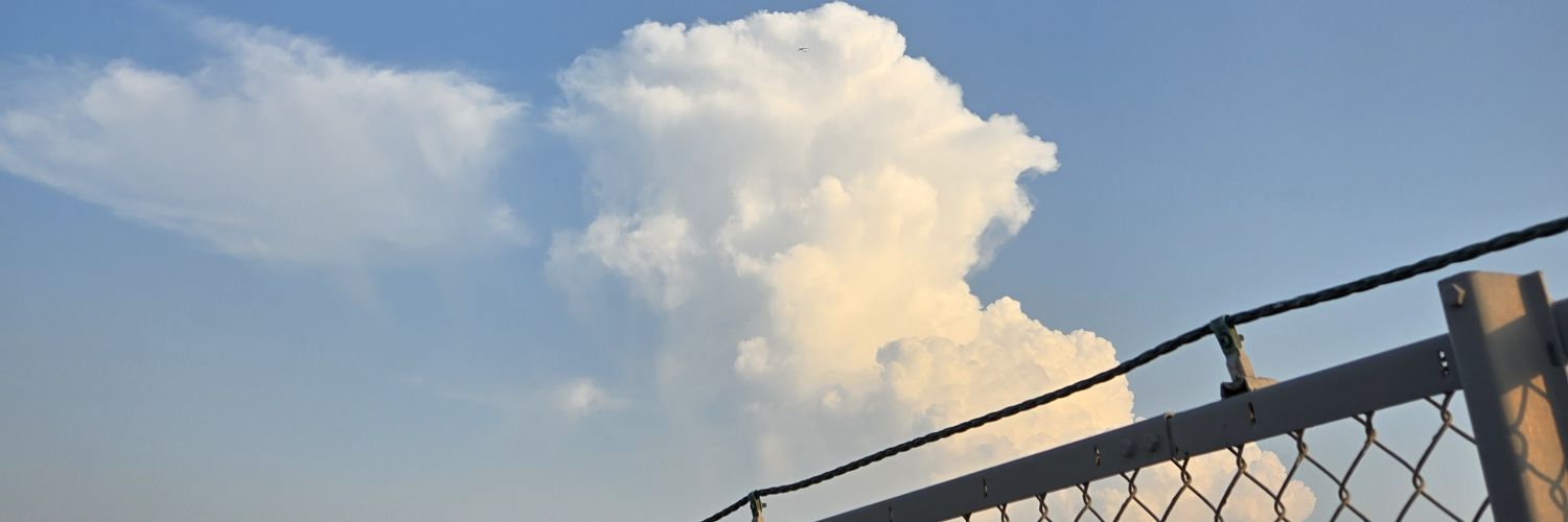 dai_douzi's profile banner image