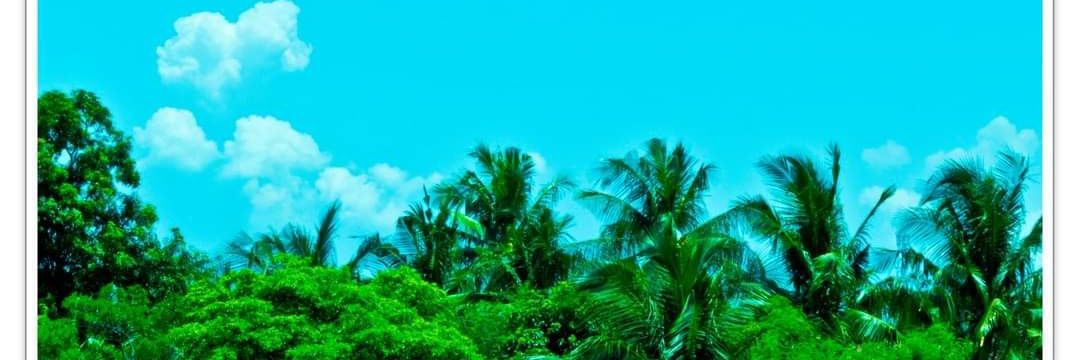 AlvhinRichards's profile banner image