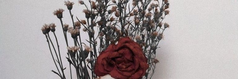 Cristhin banner
