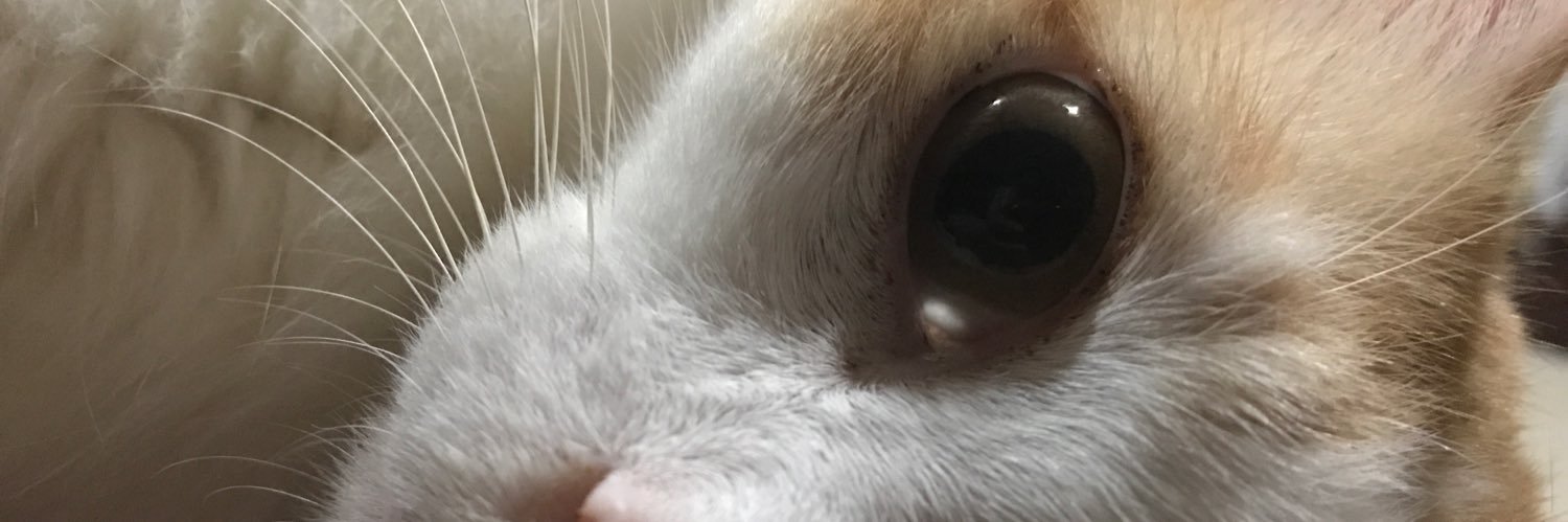 Nuhaler's profile banner image