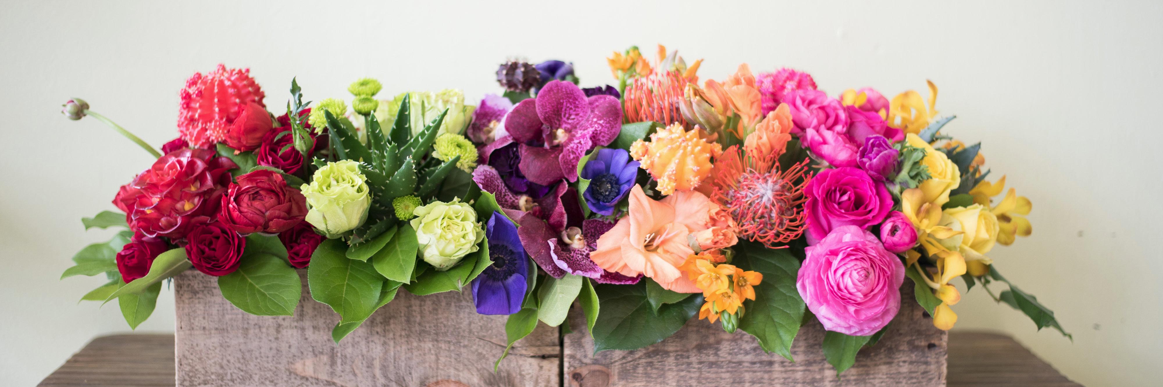 SRFSimplyRoses's profile banner image