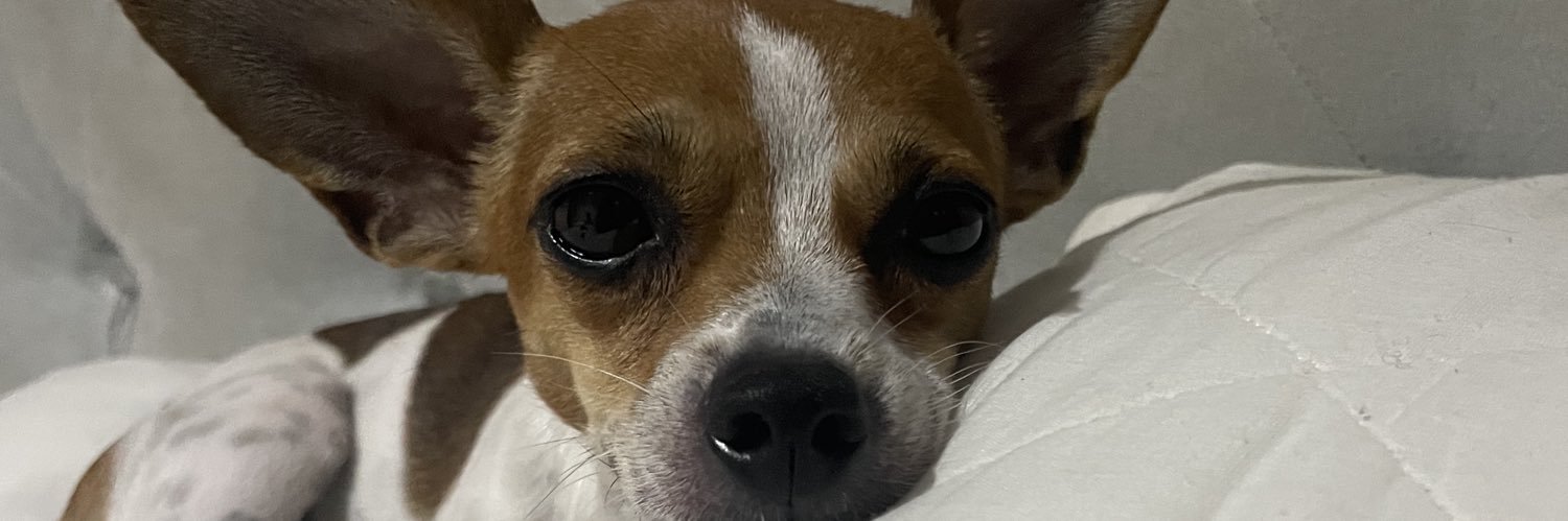 M banner