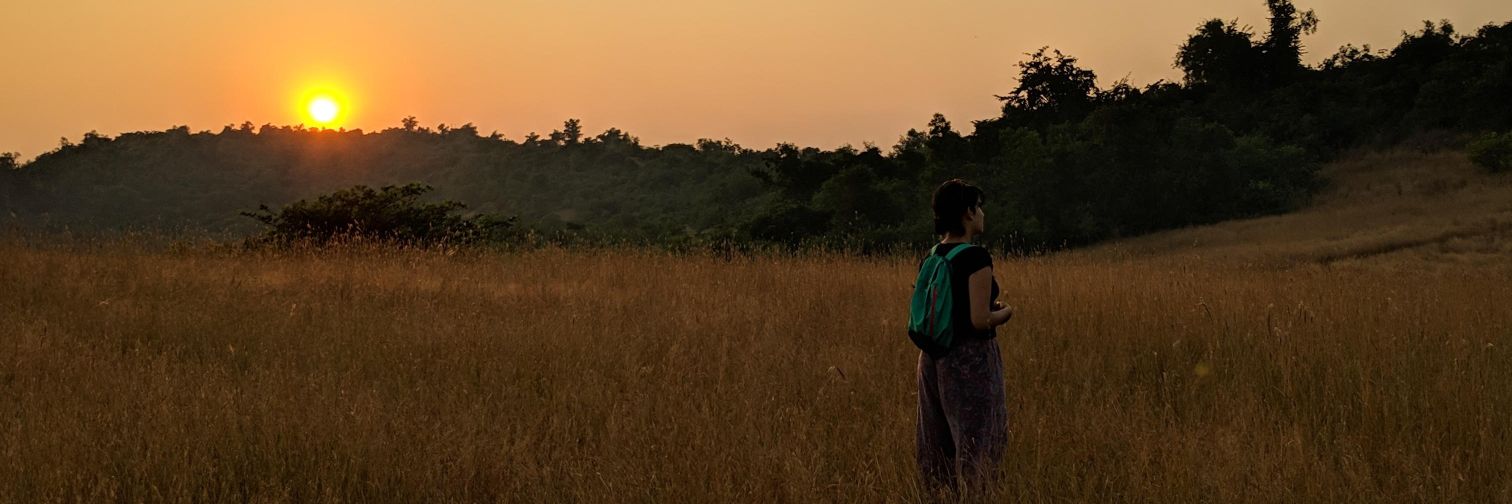 Renuka Figueiredo banner