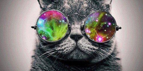 windyASN's profile banner image