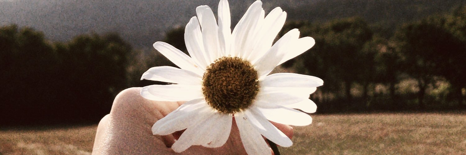 mrv_sezer's profile banner image